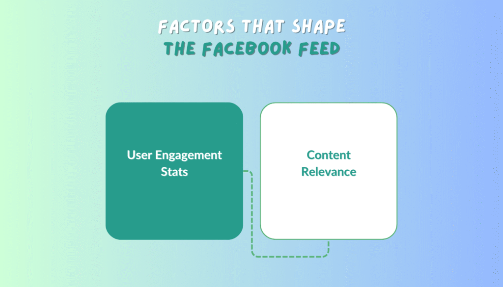 Factors That Shape the Facebook Feed